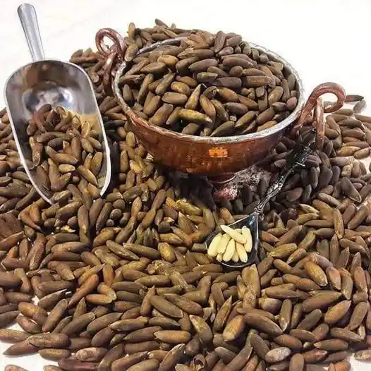 Afghan Chilgoza pine nuts